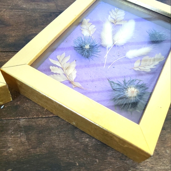 Dried Flower Taxidermy Framed Shadow Box Art Set of 2 - Picture 7 of 11